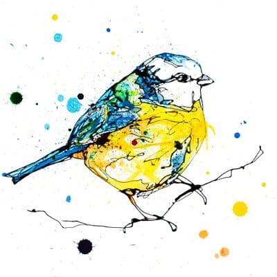 Kathryn Callaghan | Sunlit Blue Tit Print