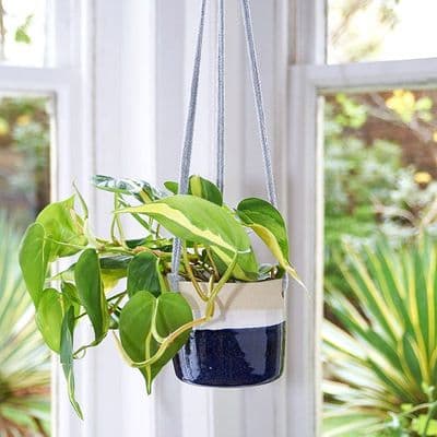 Libby Ballard | Midnight Hanging Planter