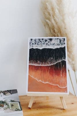 Mary Jayne Irwin | Bird's Eye North Coast Print