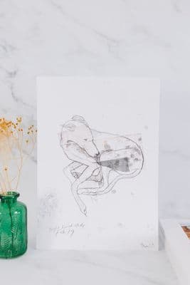 Mia Hague | Sighthound Study Dog Print