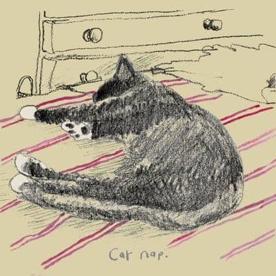 Poet & Painter | Cat Nap Card