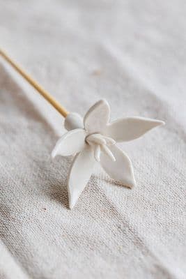 Purely Porcelain | Clivia Reed Diffuser Flower