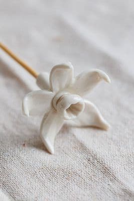 Purely Porcelain | Daffodil Reed Diffuser Flower