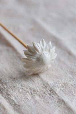 Purely Porcelain | Echinacea Reed Diffuser Flower