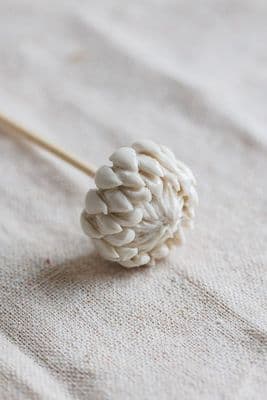 Purely Porcelain | King Protea Reed Diffuser Flower