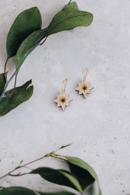 Rosa Pietsch | Star Hoop Earrings | Pearl