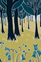 Sorrell Reilly Artist | Tollymore Forest Park Newcastle Print | Northern Ireland