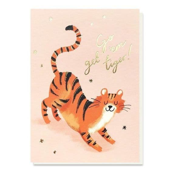 Stormy Knight Cards | Go Get 'Em Tiger Card | Good Luck Cards