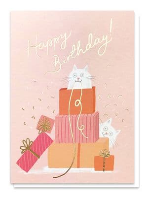 Stormy Knight | Happy Birthday Cat Card