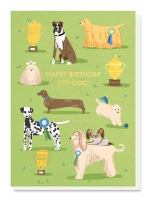 Stormy Knight | Top Dog Birthday Card
