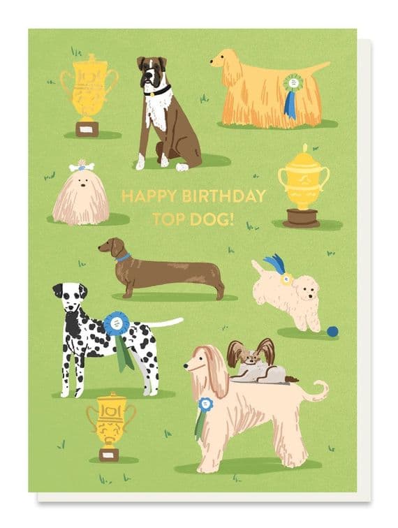 Stormy Knight Cards | Happy Birthday Top Dog Birthday Card | Dog Birthday Cards