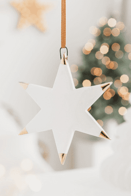 White Rain Designs | Star Decoration