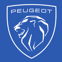 Peugeot Repair