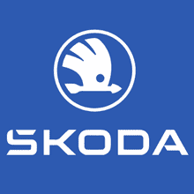 Skoda Repair