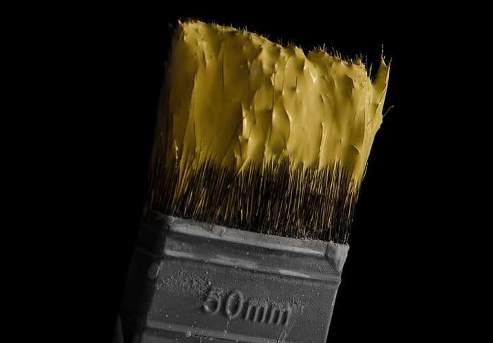 Can You Paint or Stain Composite Decking?