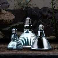Arcadia Halogen Basking Spot - 50W, 75W and 100W