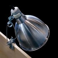 Arcadia Reflector Clamp Lamp with Ceramic Holder E27 Stainless Steel