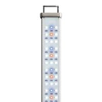 Reptile Systems ProTen New Dawn LED 7w ,14w , 21w