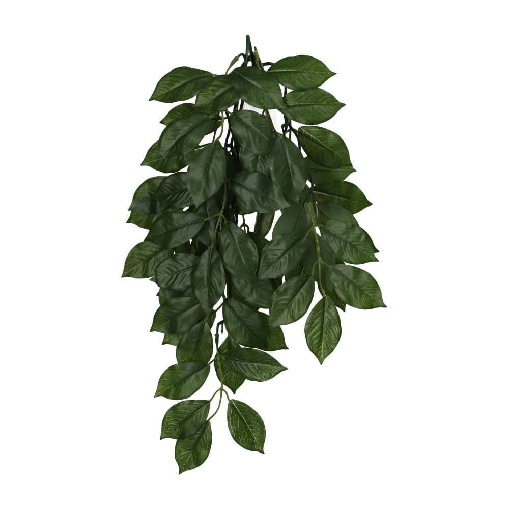 Silk Hanging Plant Weeping Fig