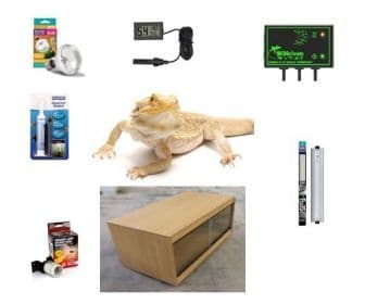 Standard Bearded Dragon Set-Up