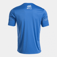 Abingdon United WFC Players Training Shirt