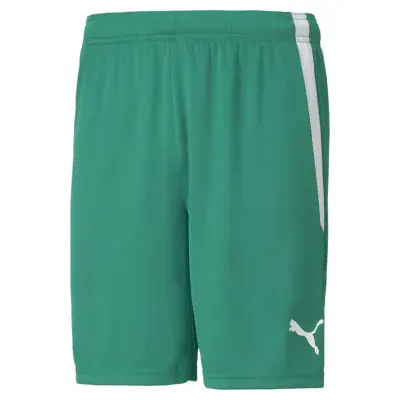 Andoversford FC Green GK Shorts