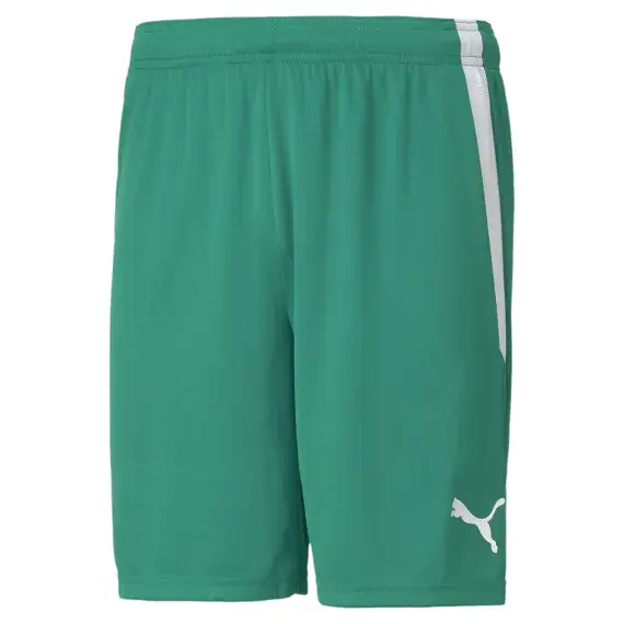 Andoversford FC Green GK Shorts