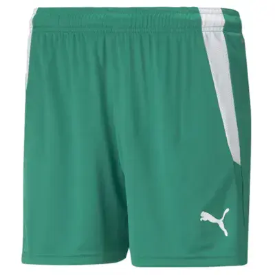 Andoversford FC Women's Shorts - GK Green