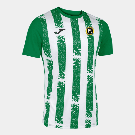 Basildon United 2024 Away Shirt