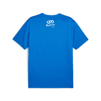 Burnham Ramblers Puma teamGOAL Training Shirt