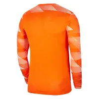 Nike Park IV GK Shirt