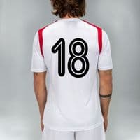 Printed Shirt Numbers