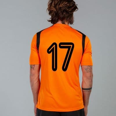 Printed Shirt Numbers