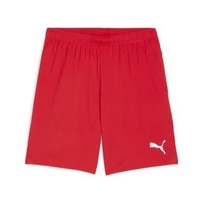 Puma Junior teamGOAL Shorts