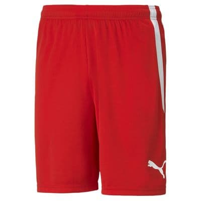 Puma Junior teamLIGA Shorts