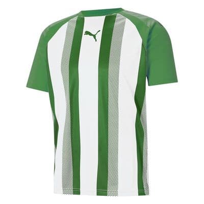 Puma Junior teamLIGA Striped Jersey