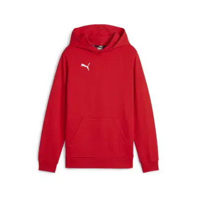 Puma teamGOAL Casuals Hoody Junior