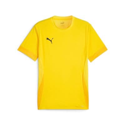 Puma teamGOAL Matchday Jersey