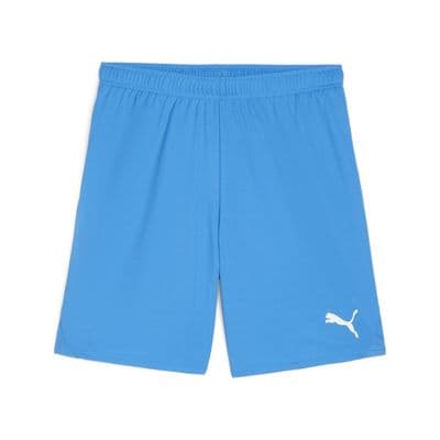 Puma teamGOAL Shorts