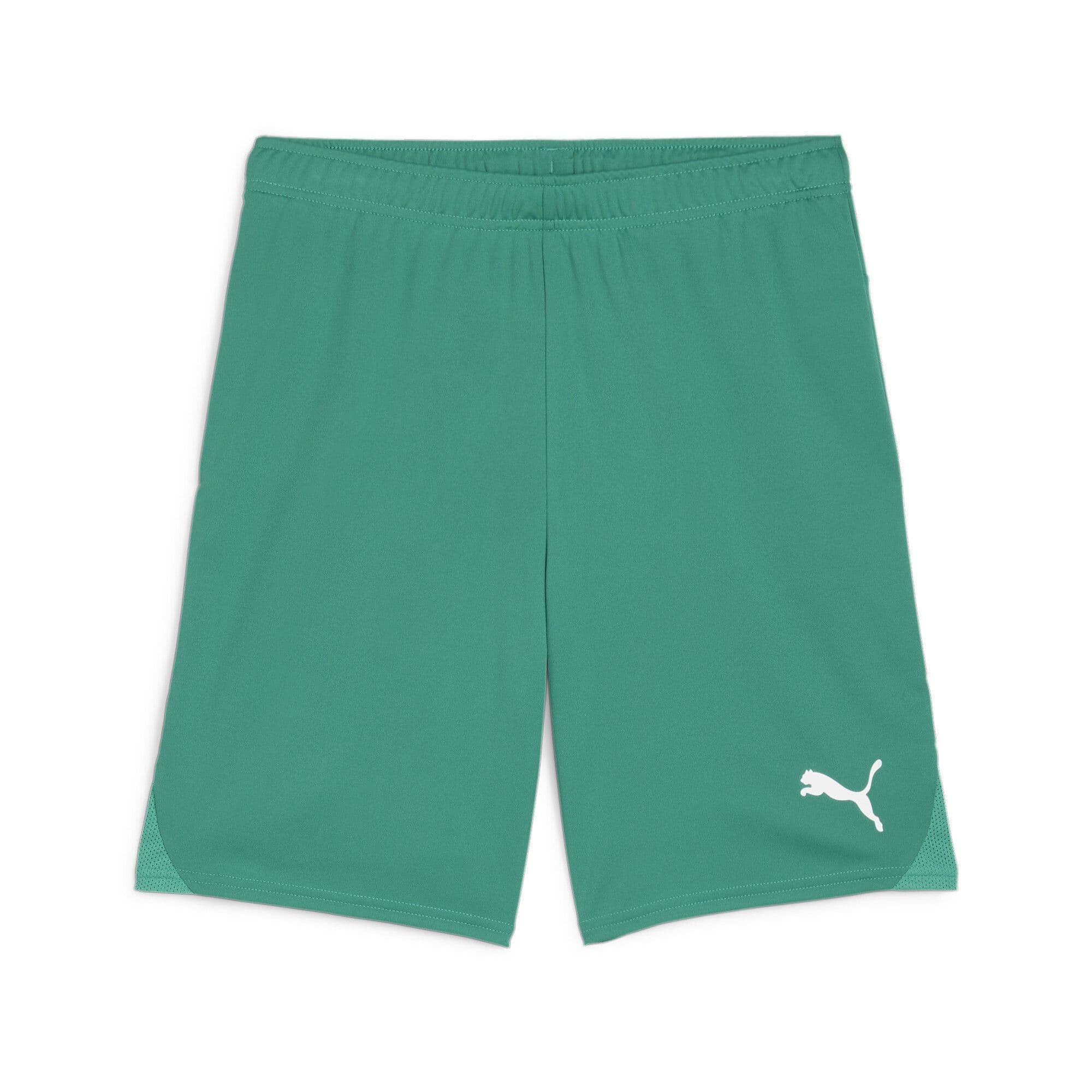 Puma teamGOAL Shorts