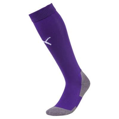 Puma teamLIGA Core Socks