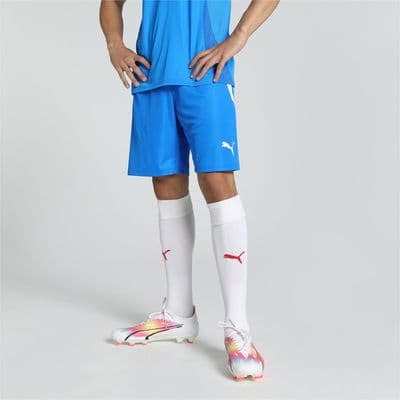 Puma teamLIGA Shorts
