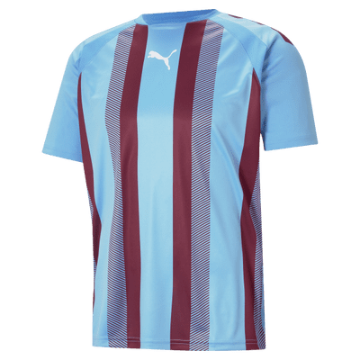 Puma teamLIGA Striped Jersey