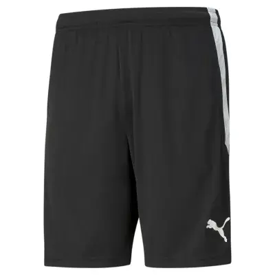Puma teamLIGA Training Shorts Junior