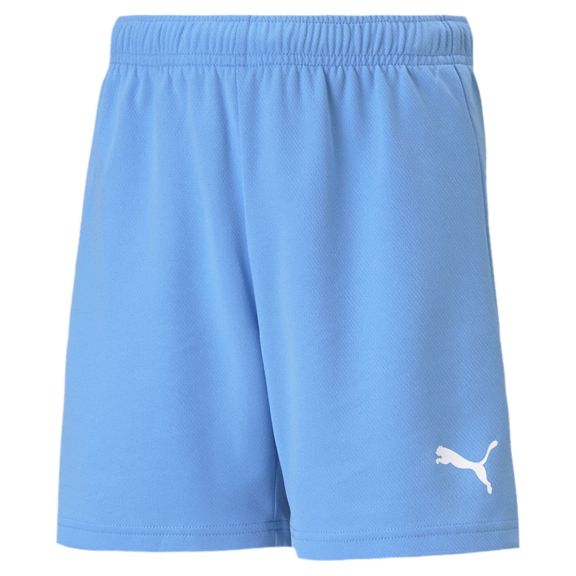 Puma teamRISE Short