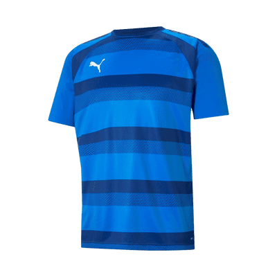Puma teamVISION Jersey