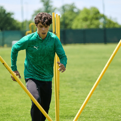 Puma Training