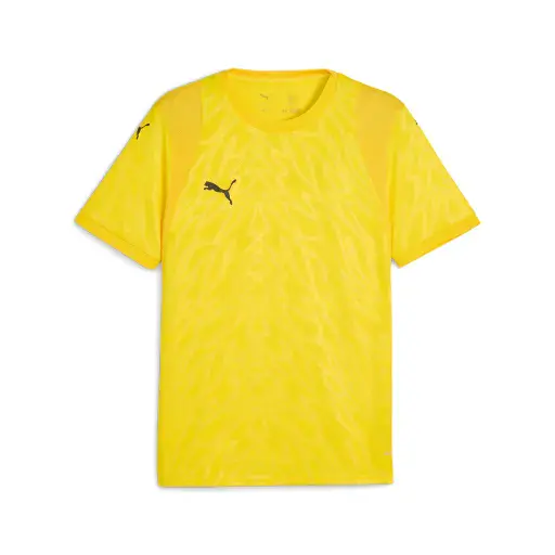 Puma teamCUP Jersey