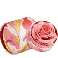 Powder Blush