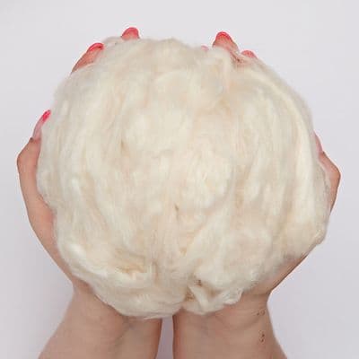 Cotton  Natural Fibre